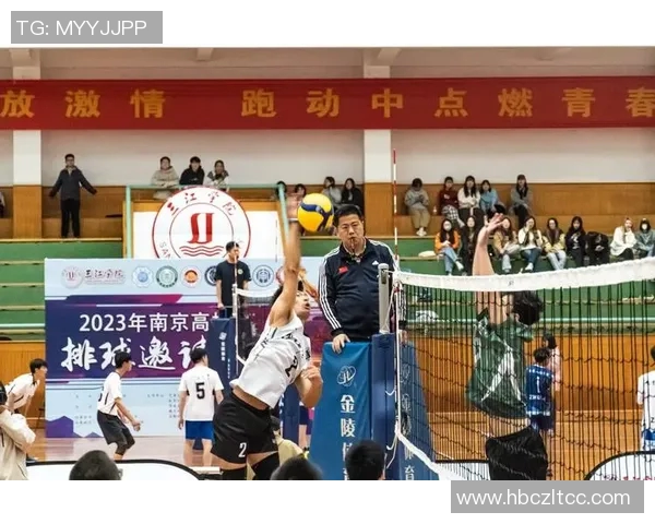 南京排球队逆袭之路揭秘锦标赛背后的奋斗与荣耀